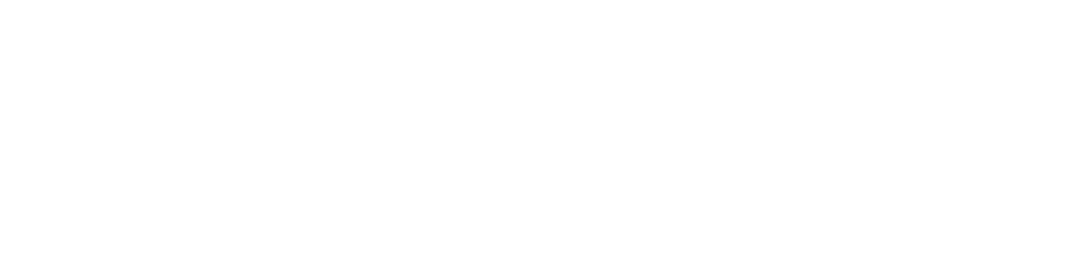 Hollyland